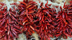 Red Chile Drying