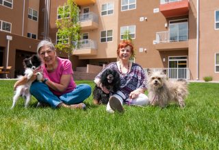 Residents on Grass with their Dogs