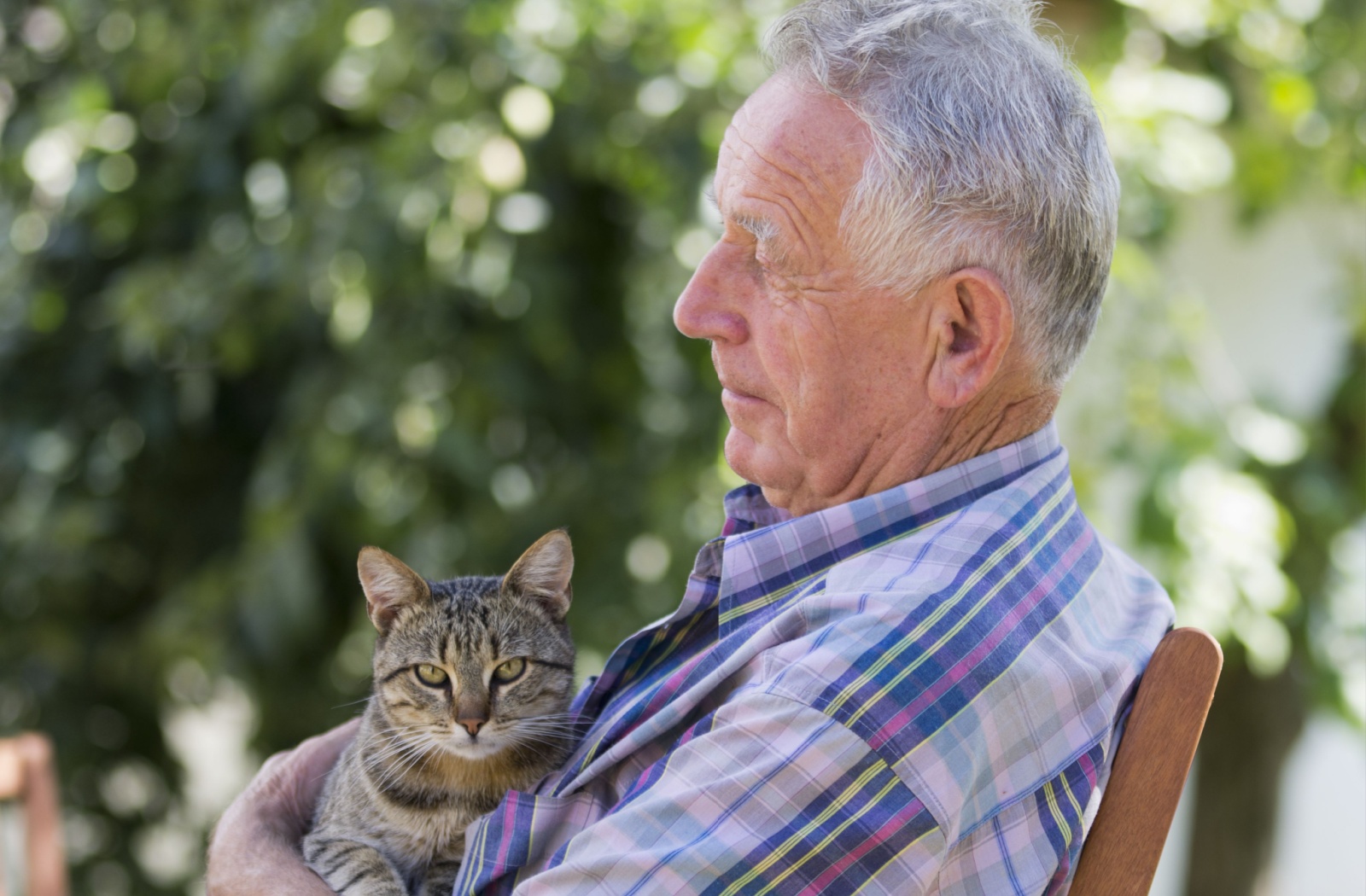 An older adult man lounging in his garden with his pet cat.
